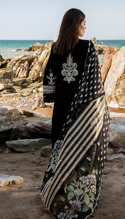 Marori Dreams - D4 B