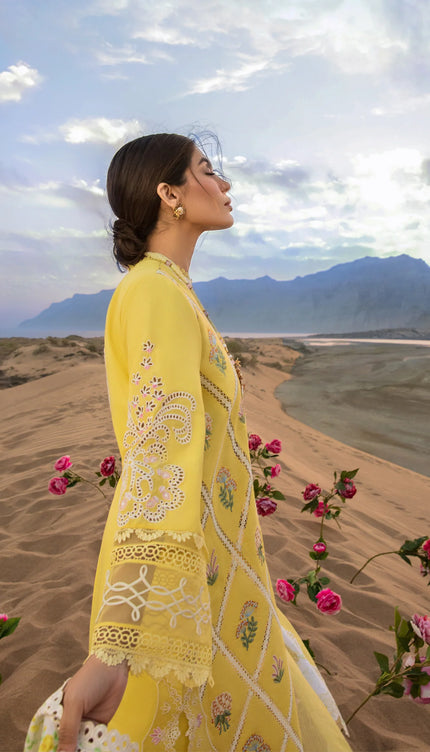 French Summer - D1 B