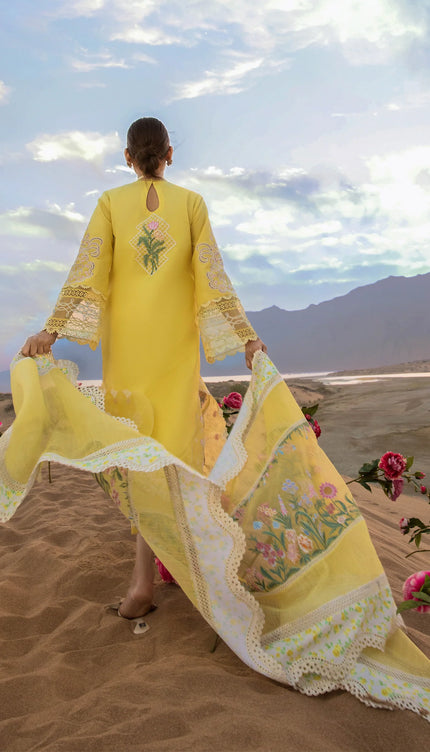 French Summer - D1 B