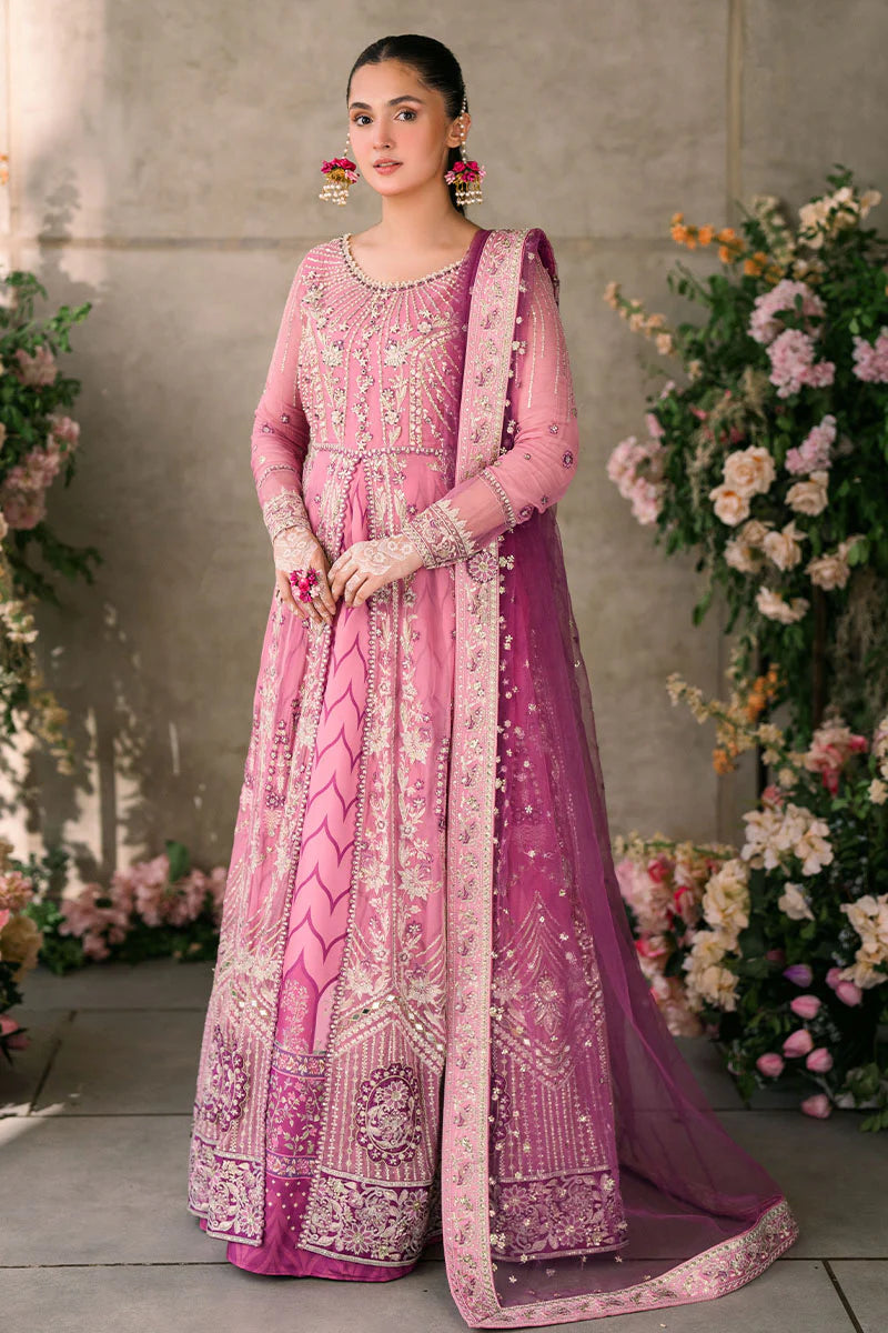 DUA