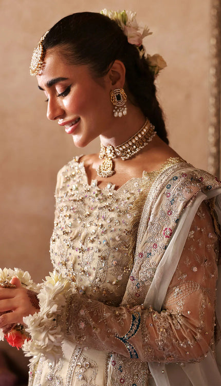 NL-72 CHANDNI
