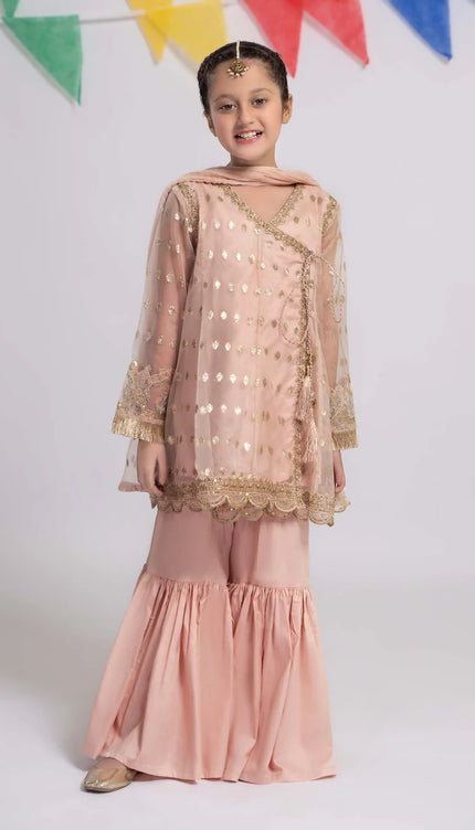 3 Piece Embroidered Organza Suit | MKS-EF24-18