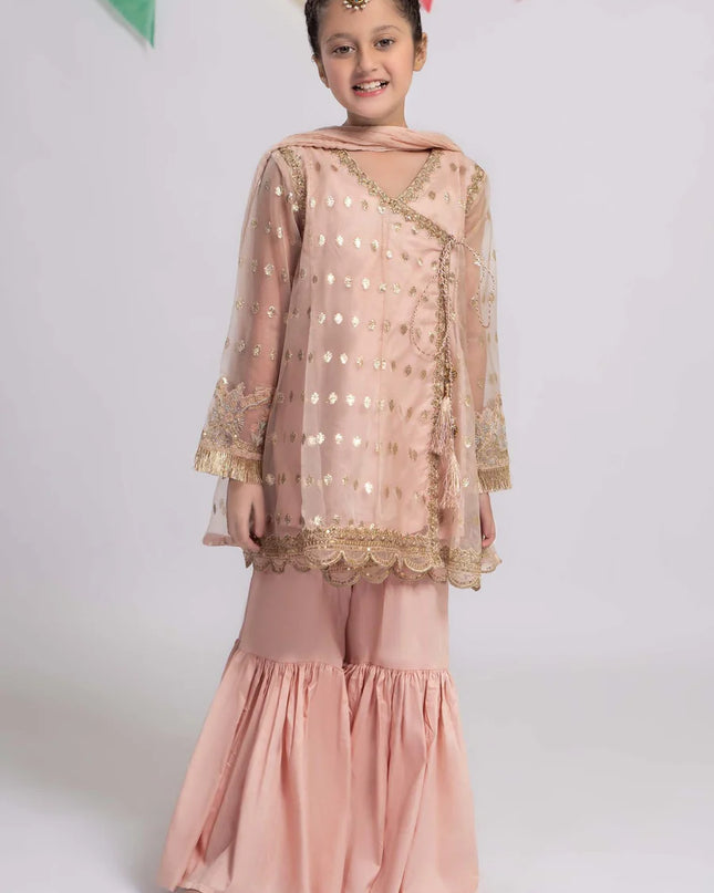 3 Piece Embroidered Organza Suit | MKS-EF24-18