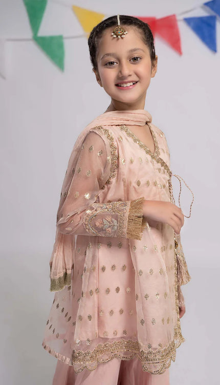 3 Piece Embroidered Organza Suit | MKS-EF24-18