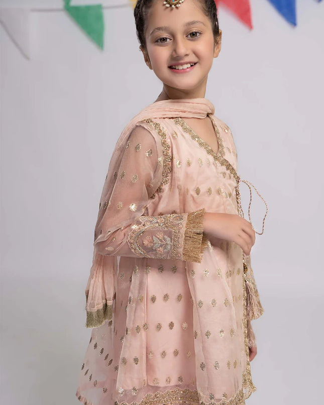 3 Piece Embroidered Organza Suit | MKS-EF24-18