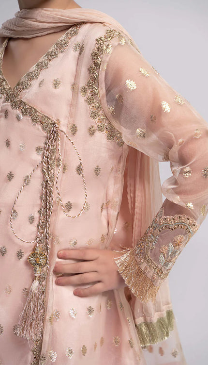 3 Piece Embroidered Organza Suit | MKS-EF24-18
