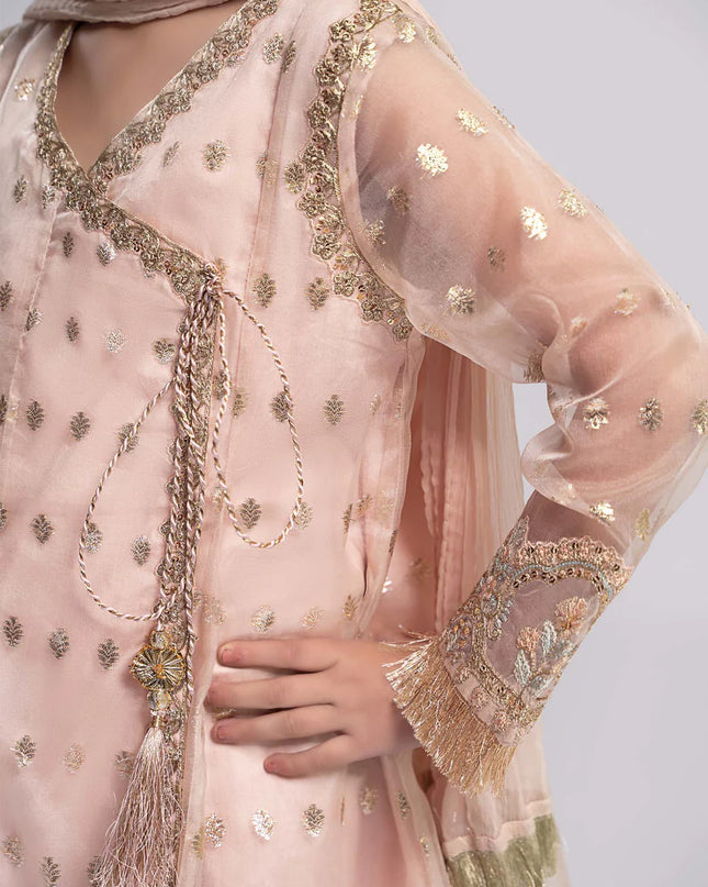 3 Piece Embroidered Organza Suit | MKS-EF24-18