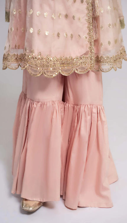 3 Piece Embroidered Organza Suit | MKS-EF24-18