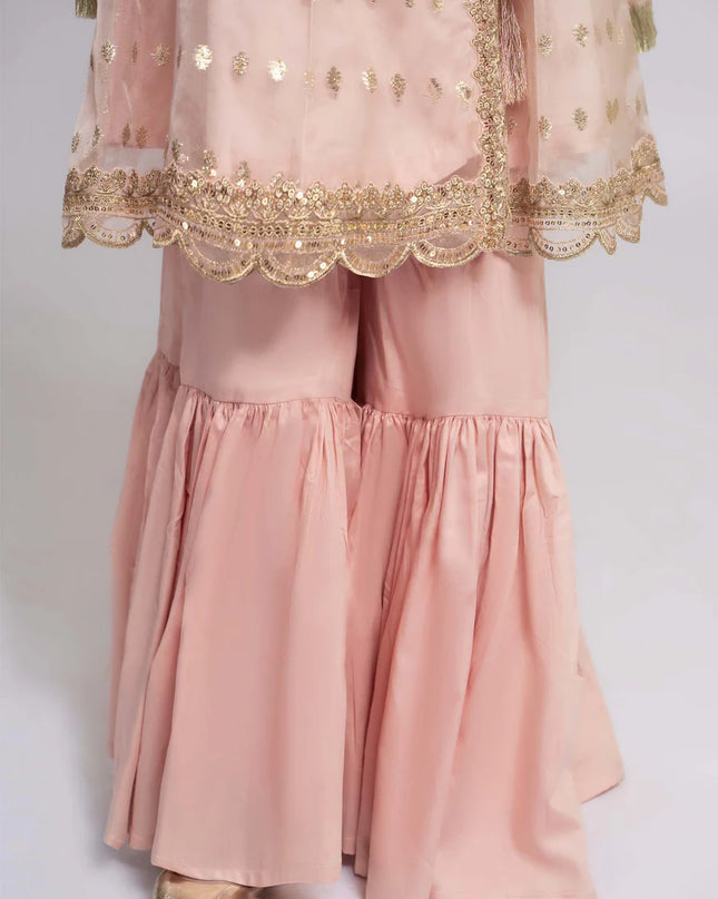 3 Piece Embroidered Organza Suit | MKS-EF24-18
