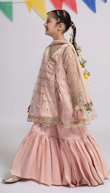 3 Piece Embroidered Organza Suit | MKS-EF24-18