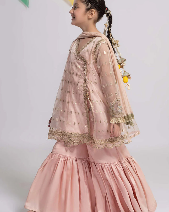 3 Piece Embroidered Organza Suit | MKS-EF24-18