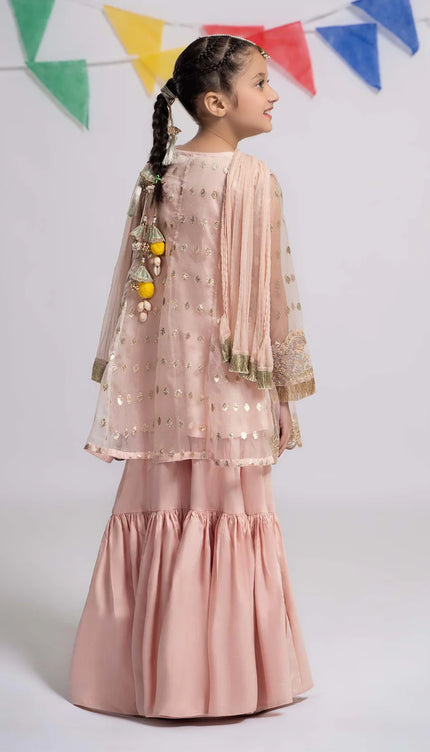 3 Piece Embroidered Organza Suit | MKS-EF24-18