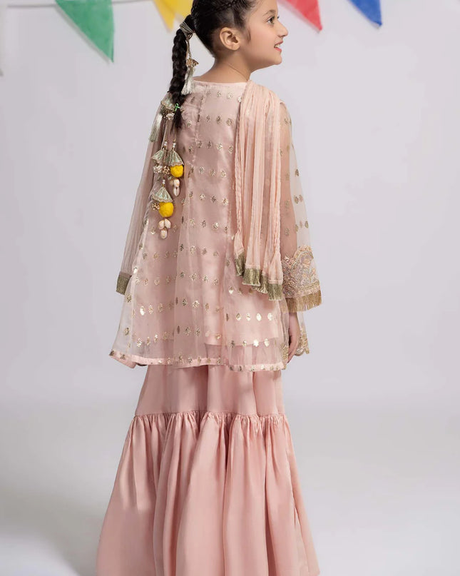 3 Piece Embroidered Organza Suit | MKS-EF24-18