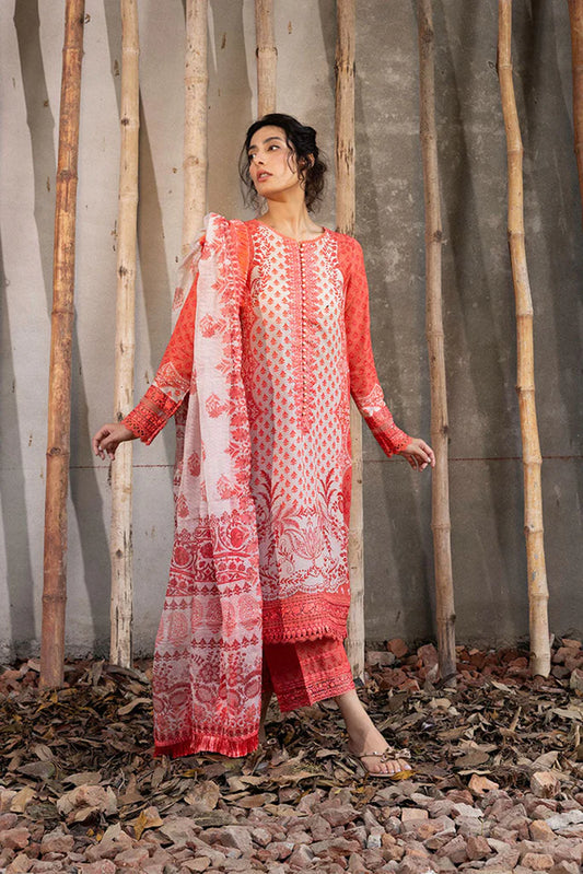 Design 1B Fall Edit 2024 STITCHED