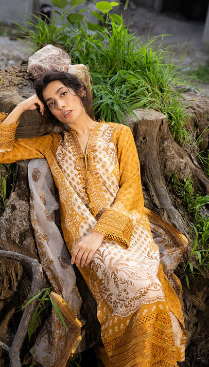 Design 1A Fall Edit 2024 STITCHED