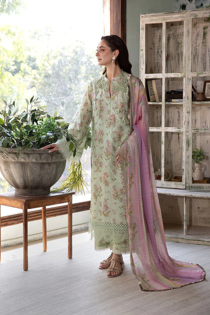 Design 1B Vital 2025 (Vol. 2) Stitched