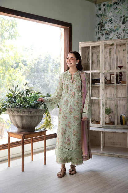 Design 1B Vital 2025 (Vol. 2) Stitched