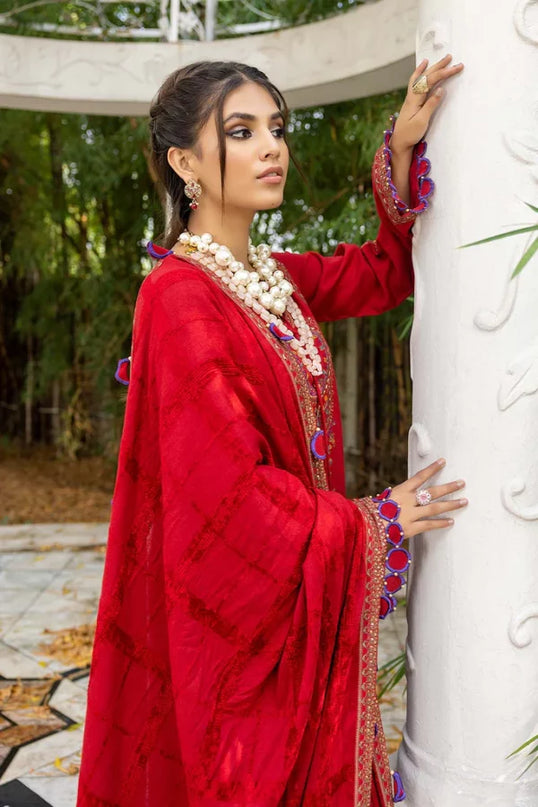 Red Embroidered Dress