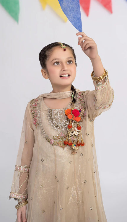 3 Piece Embroidered Organza Suit | MKS-EF24-26