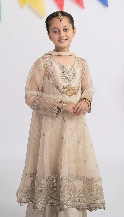 3 Piece Embroidered Organza Suit | MKS-EF24-26