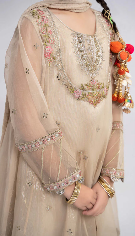3 Piece Embroidered Organza Suit | MKS-EF24-26