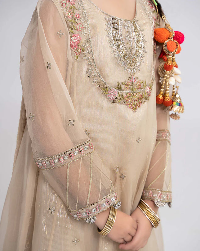 3 Piece Embroidered Organza Suit | MKS-EF24-26