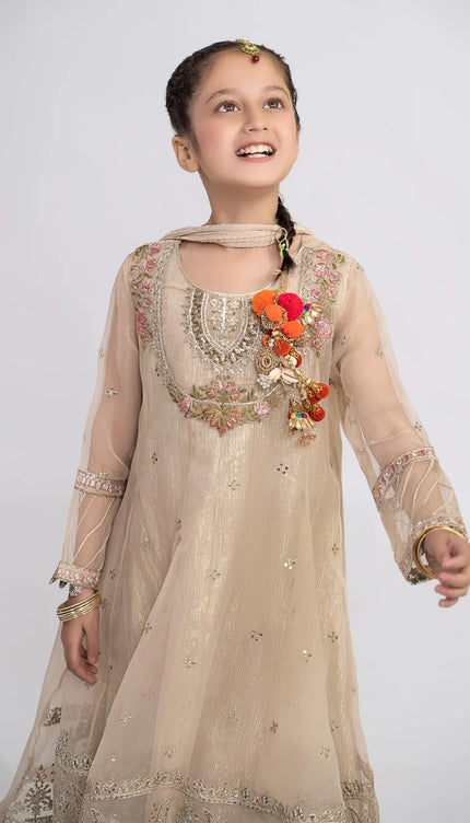 3 Piece Embroidered Organza Suit | MKS-EF24-26